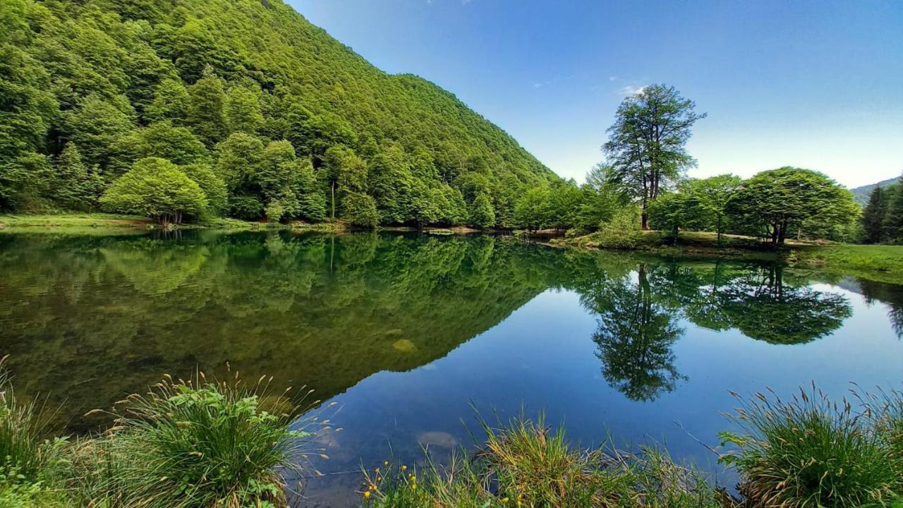 Le Jardin De Moulis, Saint Girons, Ariege, Pyrenees, Acomodação com café da manhã Exterior foto