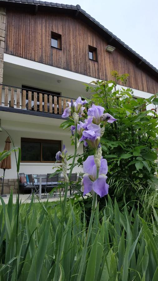 Le Jardin De Moulis, Saint Girons, Ariege, Pyrenees, Acomodação com café da manhã Exterior foto