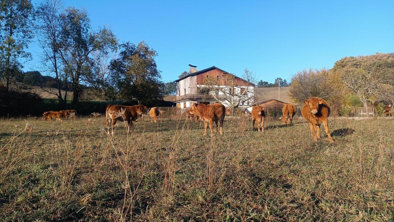 Le Jardin De Moulis, Saint Girons, Ariege, Pyrenees, Acomodação com café da manhã Exterior foto