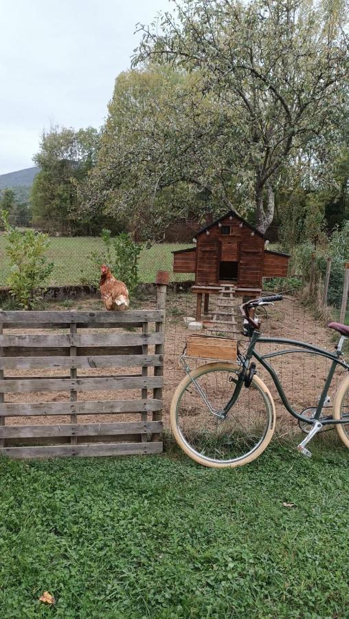 Le Jardin De Moulis, Saint Girons, Ariege, Pyrenees, Acomodação com café da manhã Exterior foto